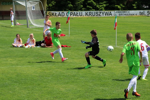 盟公认的顶 盟公认的顶