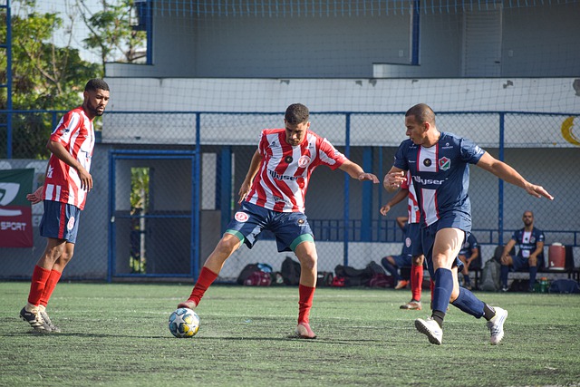 下了无数珍 下了无数珍