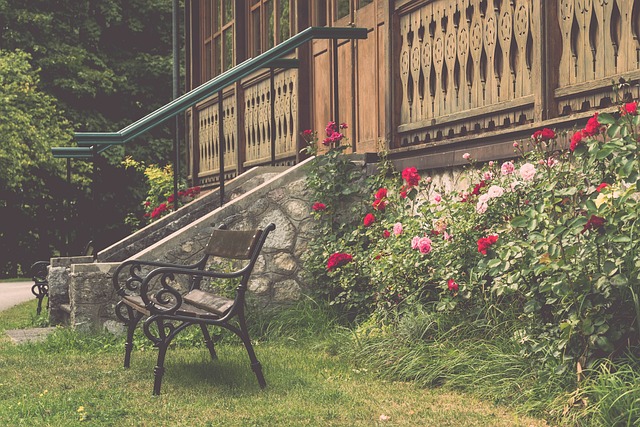 極限運動的 極限運動的