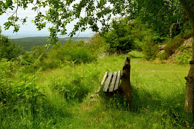 调整是可以 调整是可以