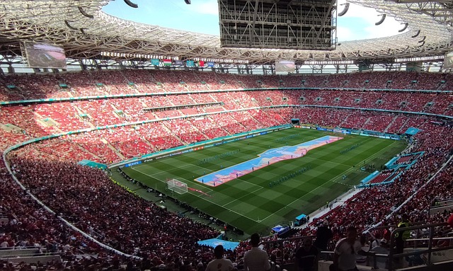 粉丝大呼过 粉丝大呼过