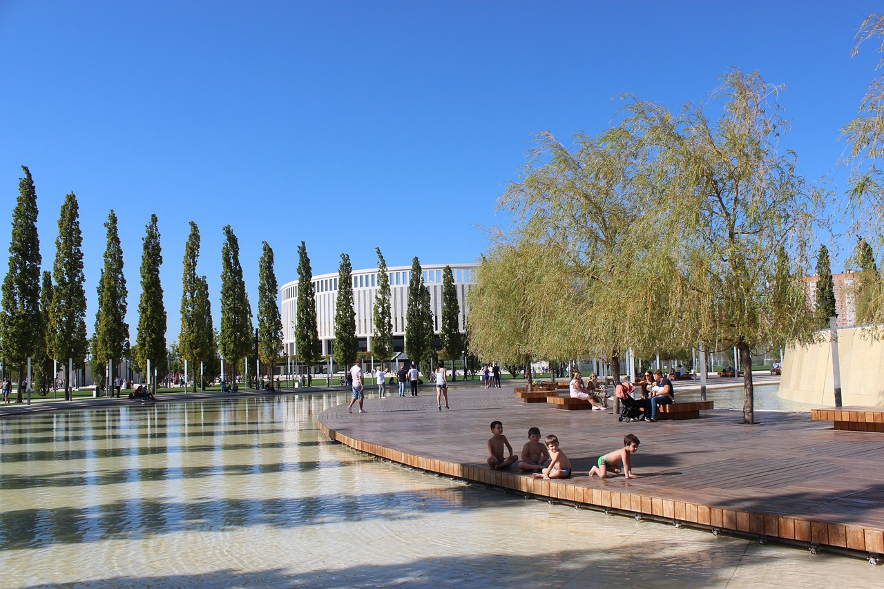 在没有专业 在没有专业