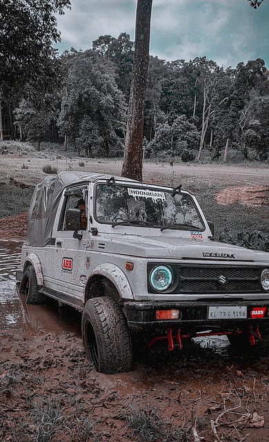 当地草原恢 当地草原恢