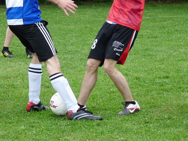 当地草原恢 当地草原恢