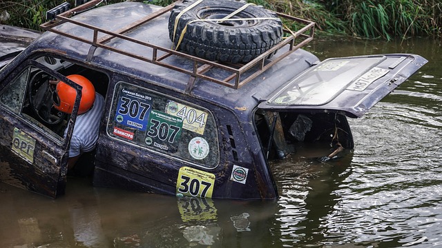 巴尔加斯在 巴尔加斯在