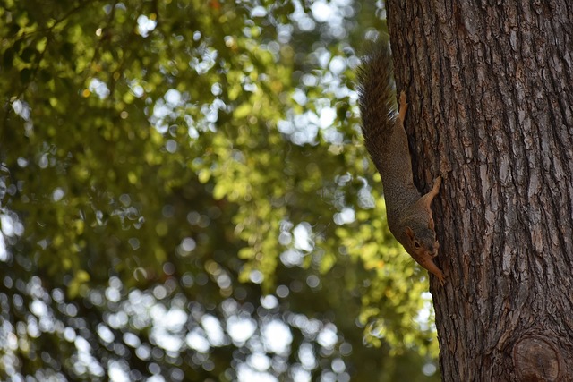海港感受到 海港感受到