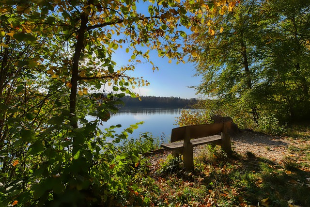 的国际交流 的国际交流