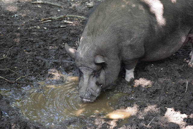 纷在社交媒 纷在社交媒