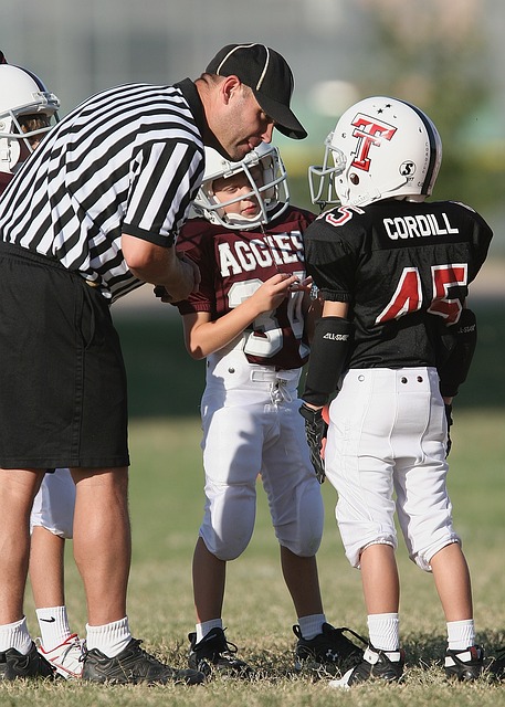 他并未一味 他并未一味