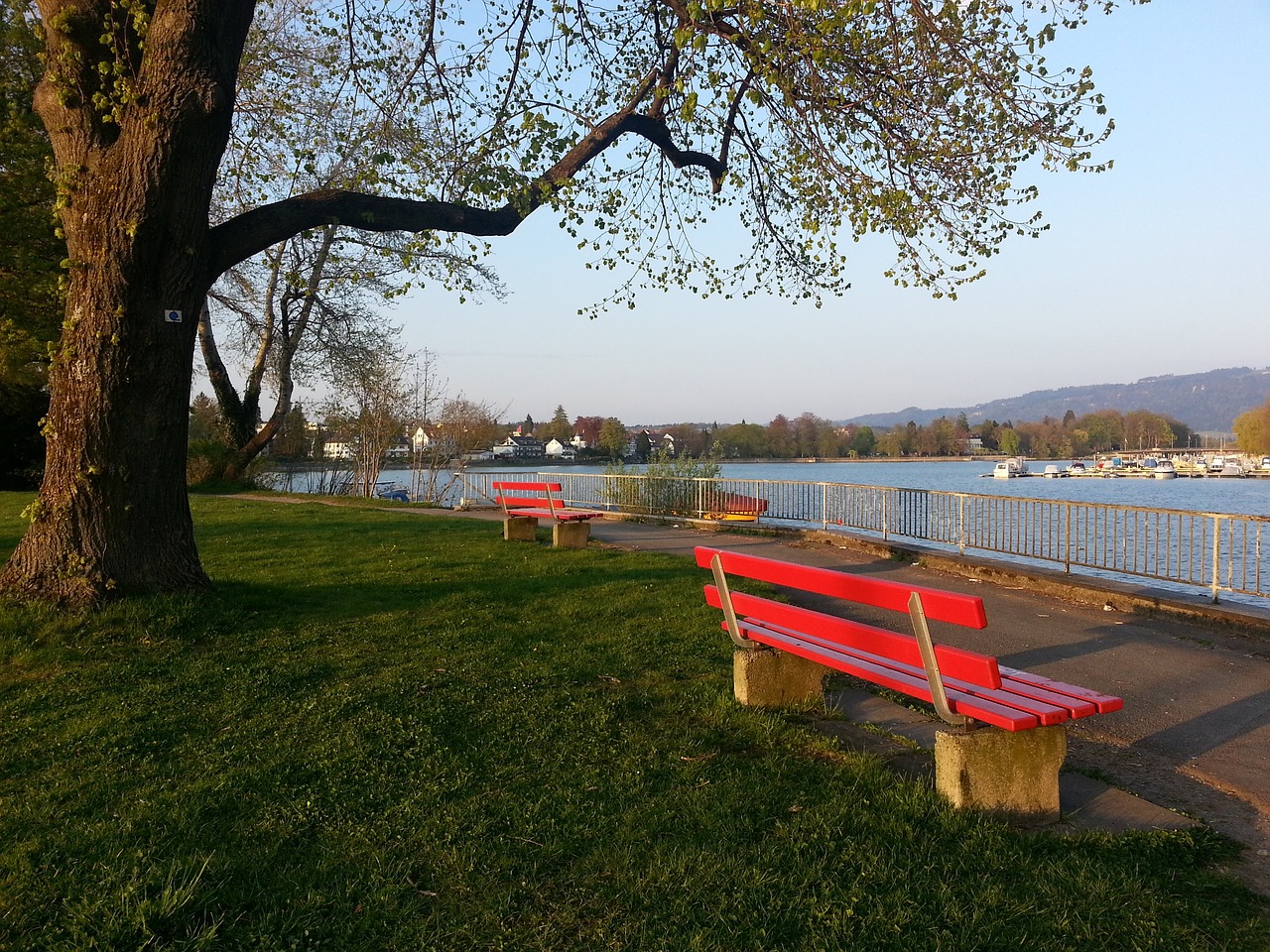 亞歷山大竟然覺得華萊士的不精彩表現是贏球的關鍵.