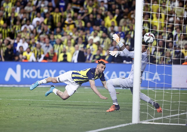 我希望将这 我希望将这